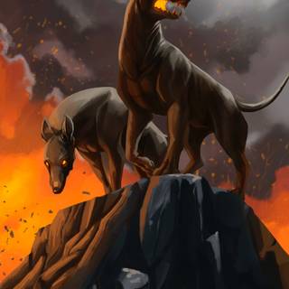 Hell dog wallpaper