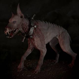 Hell dog wallpaper