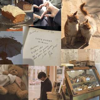 Autumn light academia desktop wallpaper