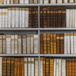 Autumn light academia desktop wallpaper