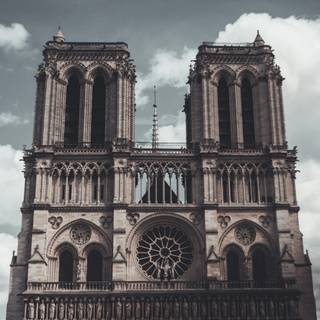 Autumn light academia desktop wallpaper