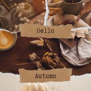 Autumn comfort wallpaper