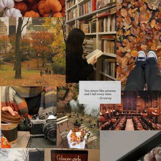 Autumn comfort wallpaper