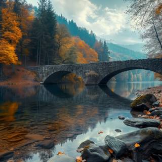 Autumn leaves lake wallpaper