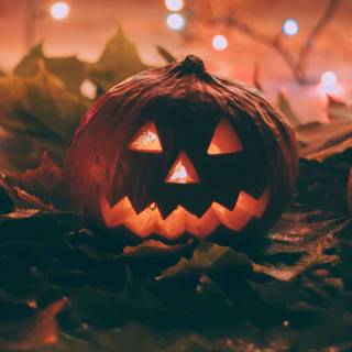 Halloween trendy wallpaper