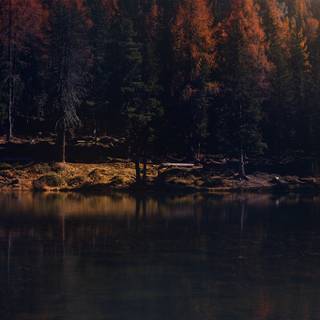 Autumn lake iPad wallpaper