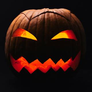 Halloween trendy wallpaper