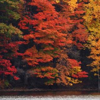 Autumn lake iPad wallpaper