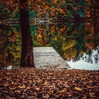Autumn lake iPad wallpaper