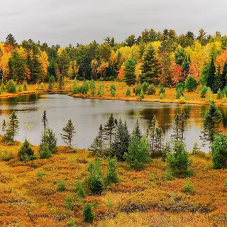 Lake forest autumn wallpaper
