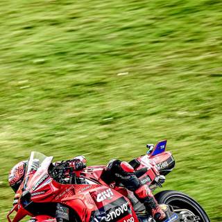 DUCATI 2024 MOTOGP wallpaper