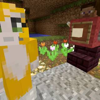 Squid and Stampy wallpaper