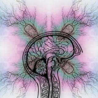 Autism and ADHD wallpaper