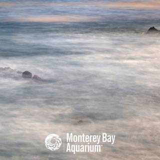 Monterey Bay wallpaper
