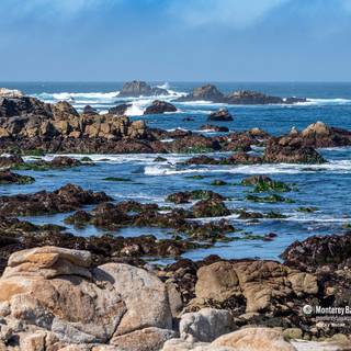 Monterey Bay wallpaper