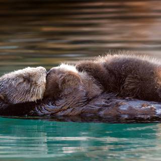 Monterey Bay wallpaper