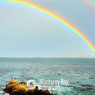 Monterey Bay wallpaper