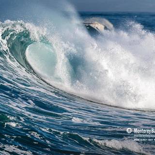 Monterey Bay wallpaper