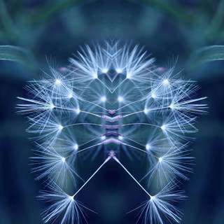 Mirror reflection wallpaper