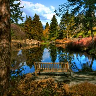 Nature scenery wallpaper