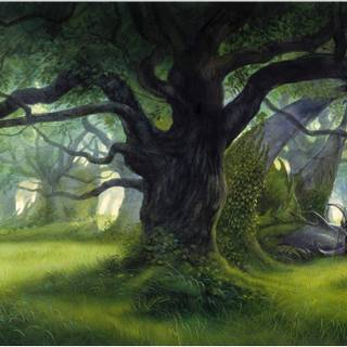 Robin Hobb wallpaper