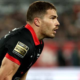 Stade Toulousain wallpaper