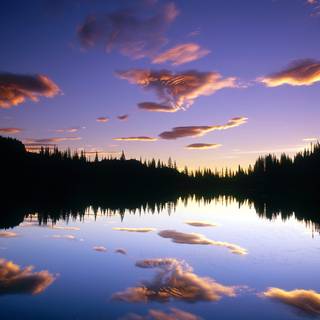 Mirror reflection wallpaper