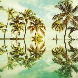 Mirror reflection wallpaper