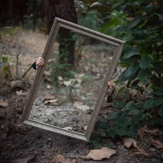 Mirror reflection wallpaper