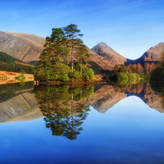 Mirror reflection wallpaper