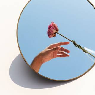 Mirror reflection wallpaper
