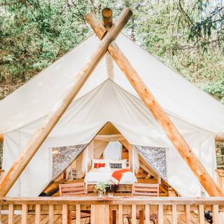 Glamping wallpaper