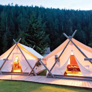 Glamping wallpaper