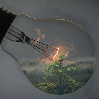 Nature in a lightbulb wallpaper