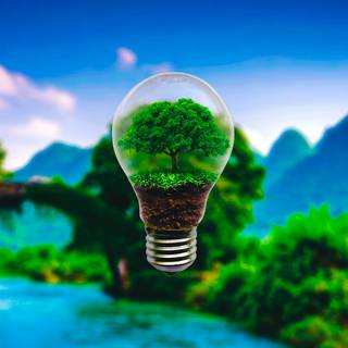Nature in a lightbulb wallpaper