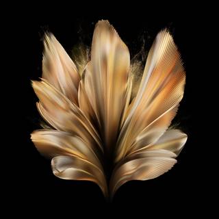 Vivo amoled wallpaper