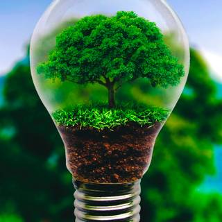 Nature in a lightbulb wallpaper