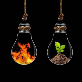 Nature in a lightbulb wallpaper