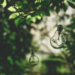 Nature in a lightbulb wallpaper