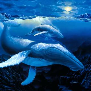 Baby sea creatures wallpaper