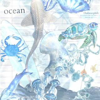 Baby sea creatures wallpaper