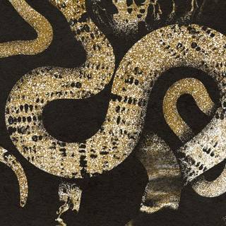 Golden snake wallpaper