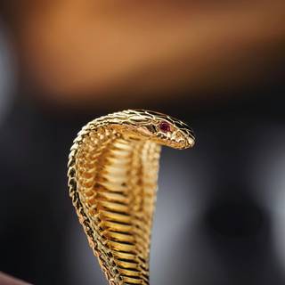 Golden snake wallpaper