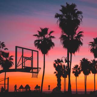 Sunset basketball wallpaper