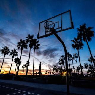 Sunset basketball wallpaper