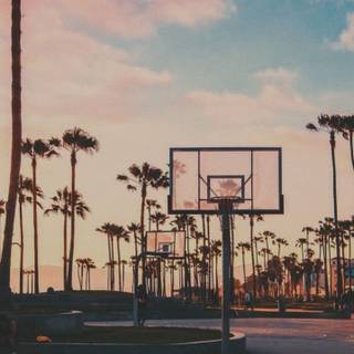 Sunset basketball wallpaper