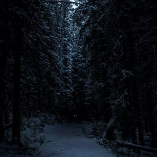 Portrait 8k winter wallpaper