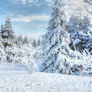 Aesthetic winter blue wallpaper