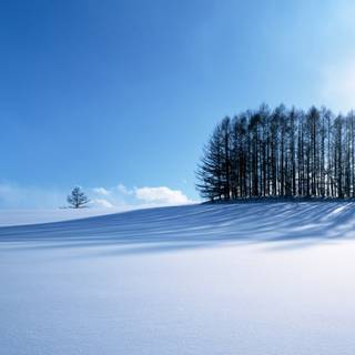 Winter scenery desktop wallpaper