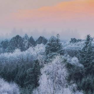 Winter scenery desktop wallpaper